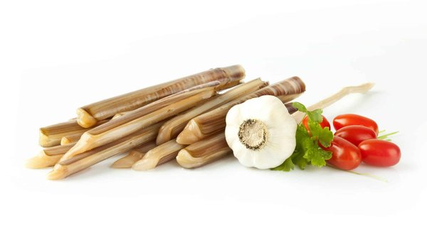 Les secrets d'une cuisine réussie : Choisissez le bon couteau !