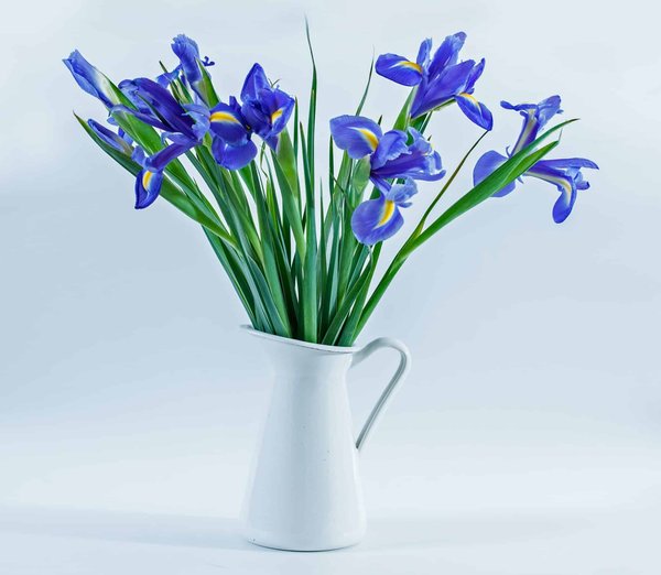 Conseils de Décoration : Comment Choisir le Bon Vase pour Vos Fleurs