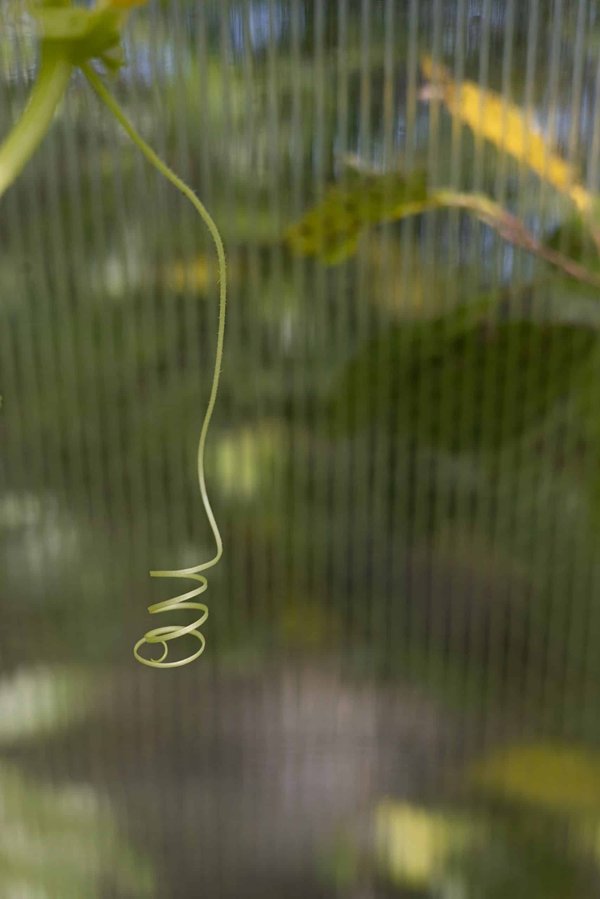 Comment s'adapter aux tendances de la télépsychiatrie pour les professionnels de la santé mentale ?